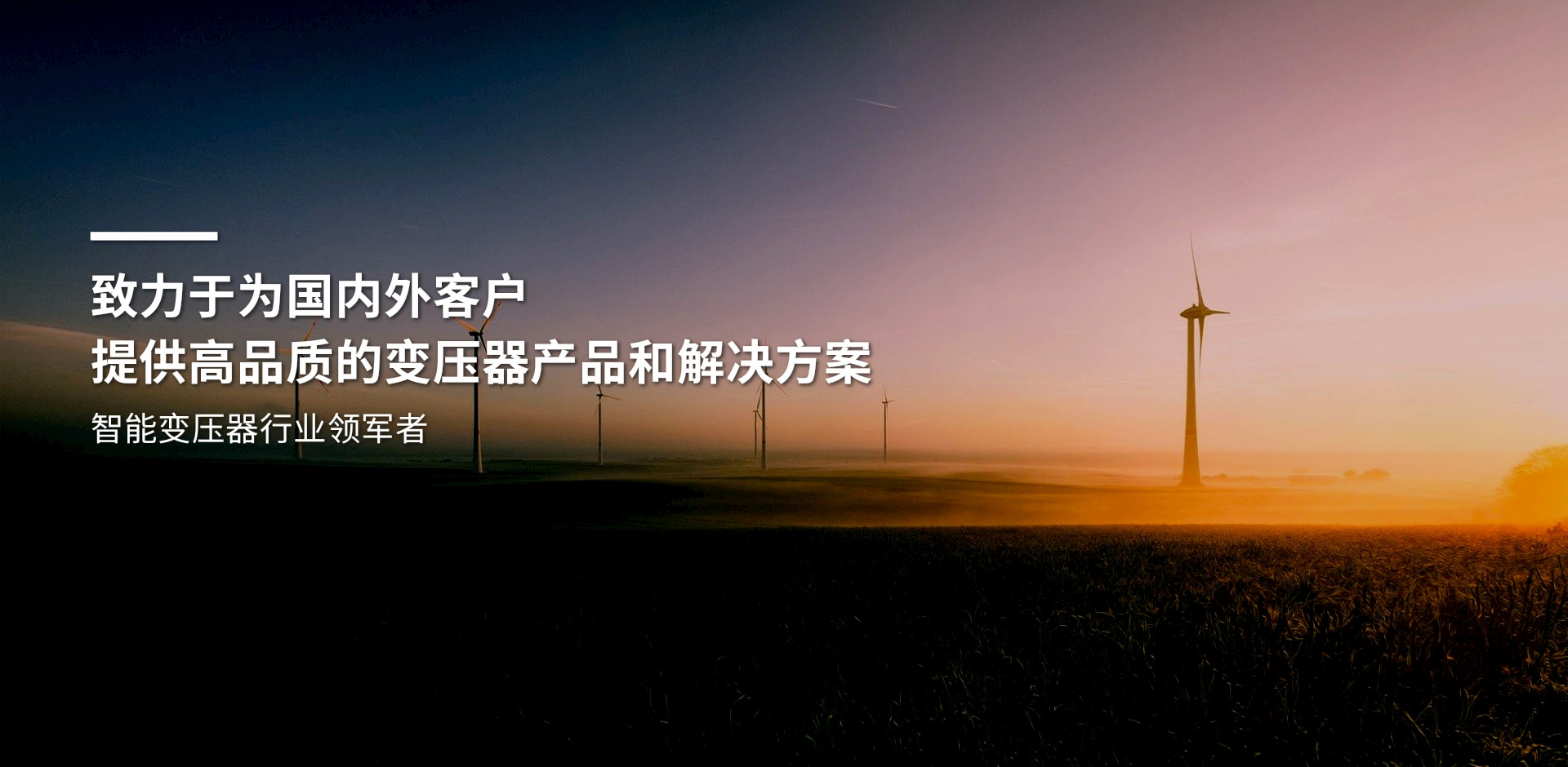 vi质量是生命 服务是根本